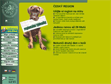 Tablet Screenshot of ceskyregion.cz